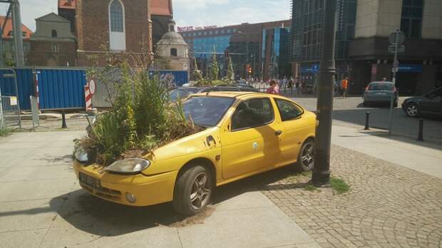 Креативная "авто" клумба авто, клумба, растения, Польша