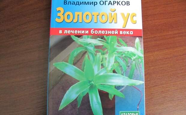 свойства настойки золотого уса