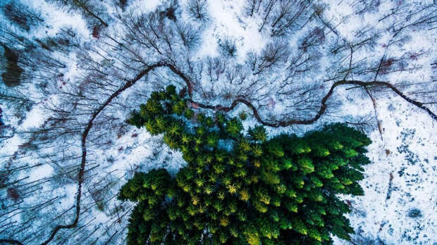 Интересные снимки с дронов от Dronestagram