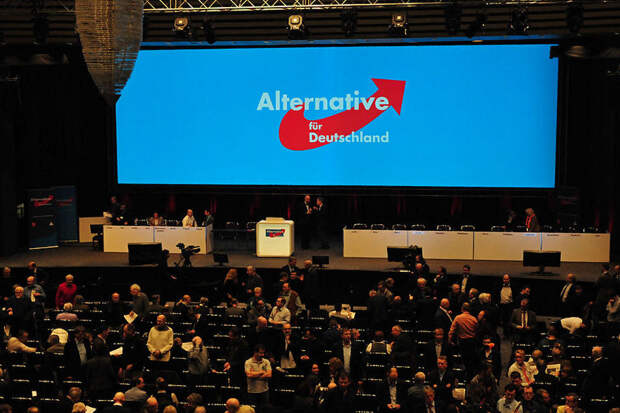 Кандидат от АдГ Петерсен прошла в парламент Гамбурга, несмотря на переезд в РФ