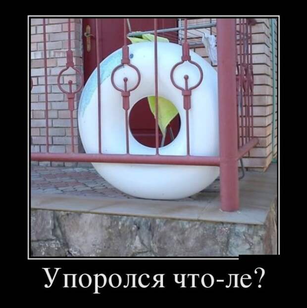 Демотиваторы на пятницу (30 фото)