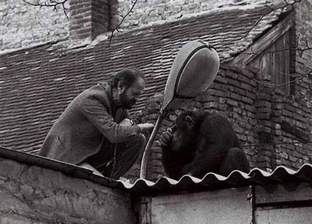 10 улётных фотографий разных предметов и явлений, показывающих, насколько интересен и удивителен наш мир