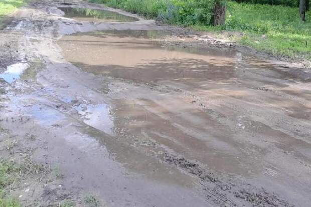 В Тамбовской области могут вернуть весовой контроль для грузовиков