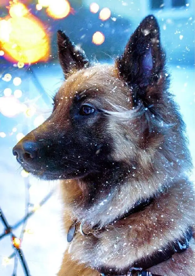 20 фото, сделанные обычными людьми, но выглядящие как работы профессионалов