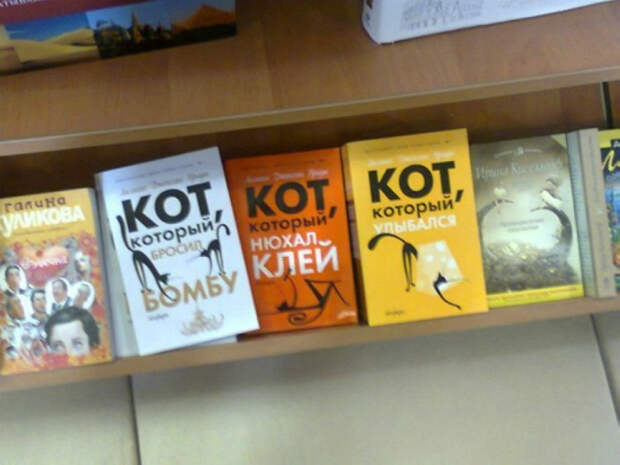 Увлекательная жизнь кота. Увлекательная жизнь кота.