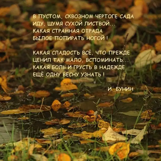 Стихотворение бунина осень