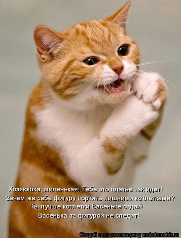 Мысли вслух :)