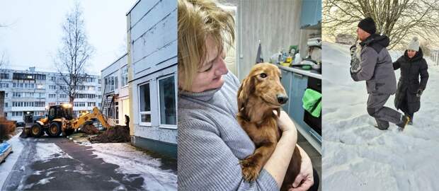 Общественная приёмная: от ремонта детсада «Улыбка» в Пскове до «убитых» собак и дубака на Заплюсье