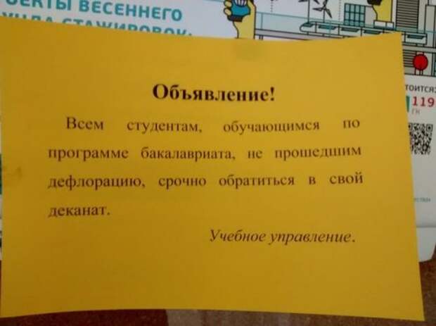 Фото-приколы и картинки (62 шт)