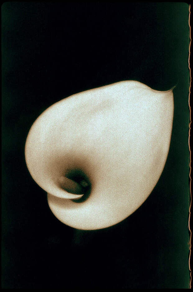 fotograf Robert Farber 1 5
