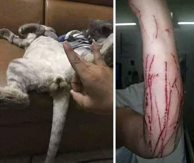 Каждый день