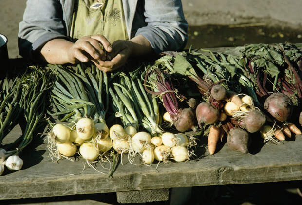 Russia, display of vegetables for sale at market. Siberia Russia, display of vegetables for sale at market. Siberia