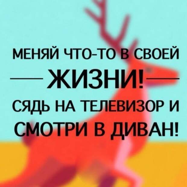 36940f7f (479x479, 40Kb)