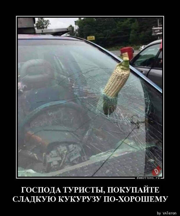 Прикольных демотиваторов сборник (27 фото)