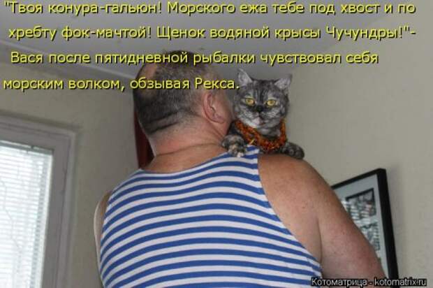 Новые котоматрицы для настроения (32 шт)