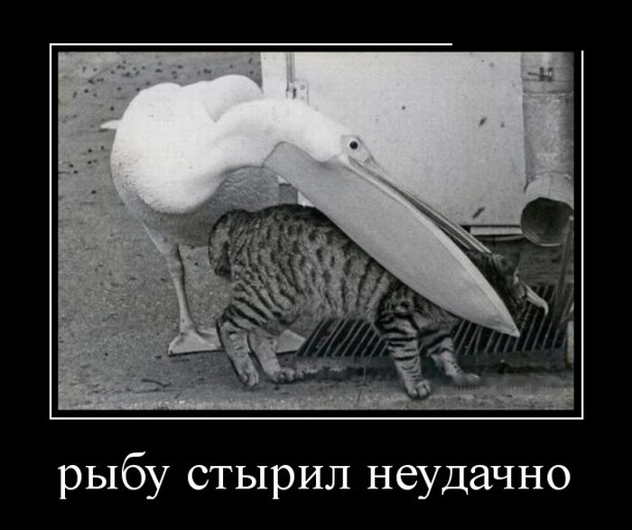 Демотиваторы (30 фото)