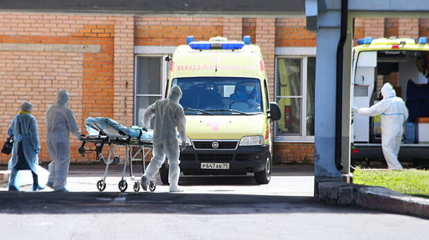 COVID-19 – хроническое заболевание? В сентябре возможна новая волна эпидемии