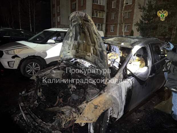 В Калининградской области арестовали поджигателя автомобилей полицейских