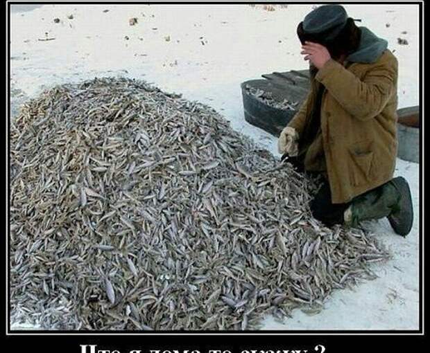 Ох, уж эта рыбалка