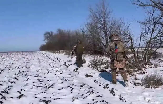 Армия России освободила Новый Донбасс, выйдя к Доброполью менее чем на 4 км