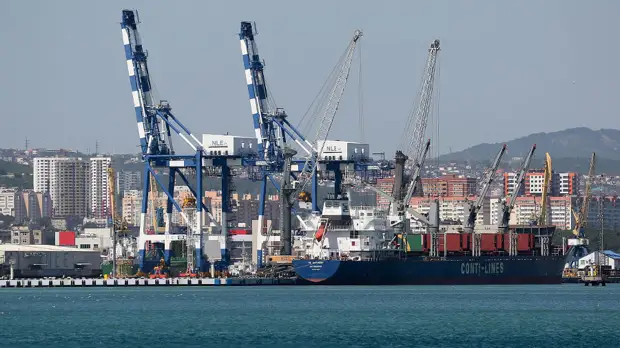 «Росприроднадзор произведёт расчёт ущерба»: что известно о ситуации с разливом нефти под Новороссийском