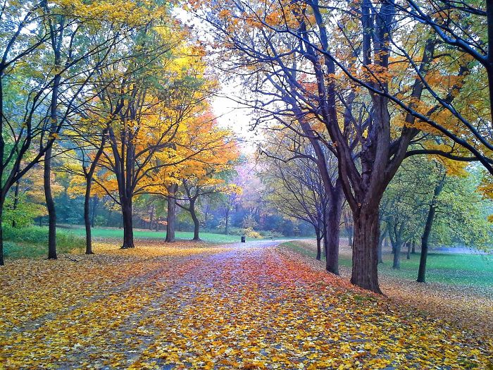 Монреаль, Канада 