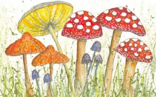 Как научиться рисовать? 5 бесплатных уроков для начинающих