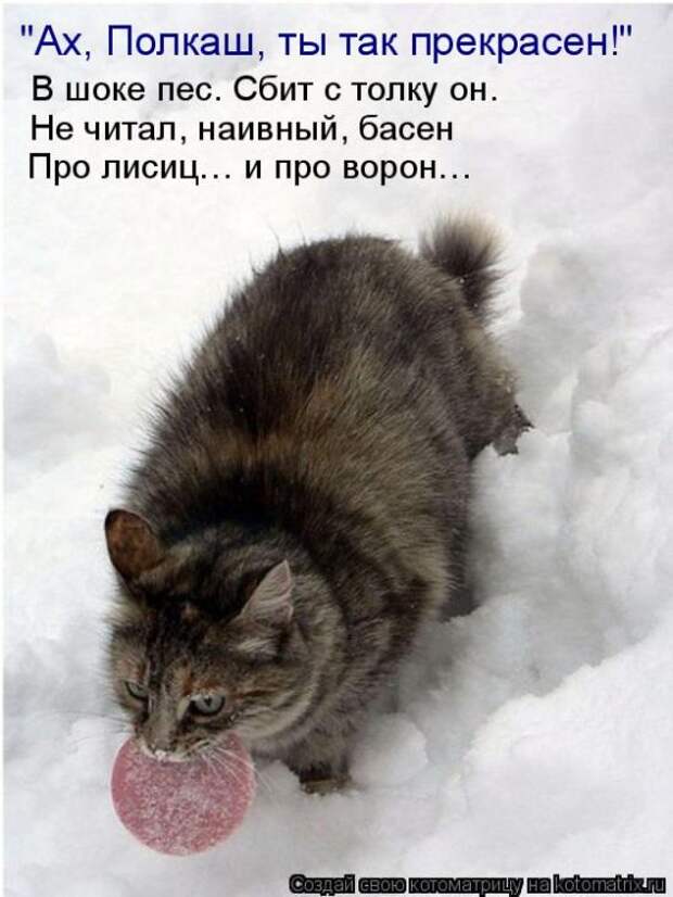 Забавные котоматрицы