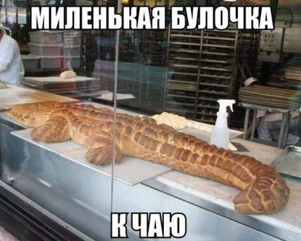 картинки