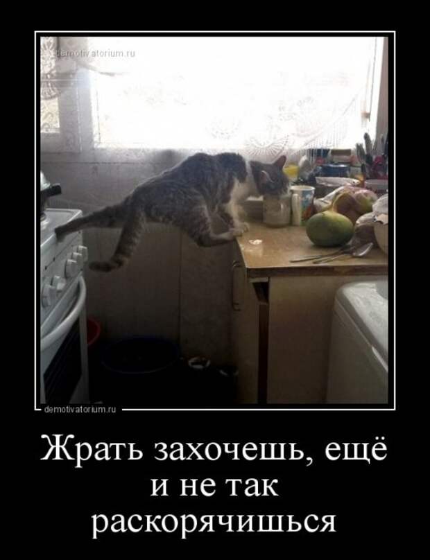 Демотиваторы-приколы (21 фото)