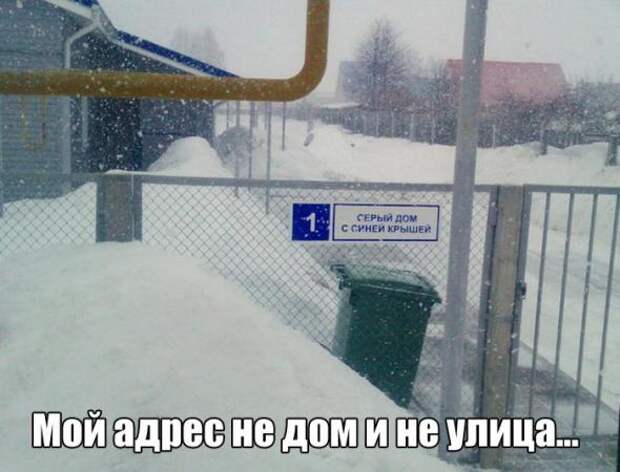 Картинки, юмор, приколы