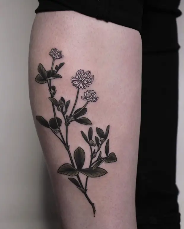 Красивые тату и их расположение на теле: 20+ идеальных идей