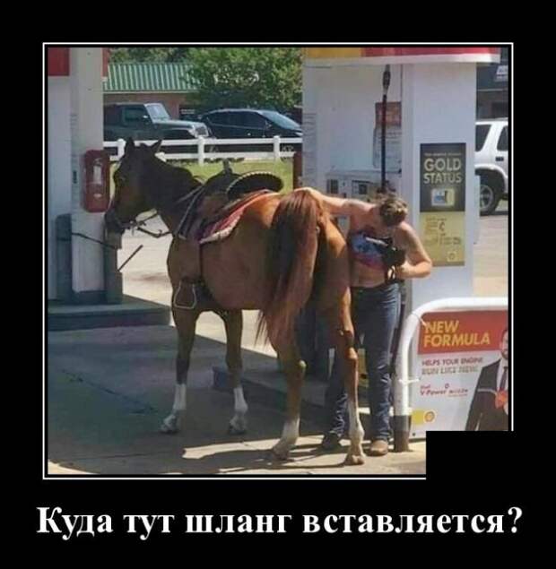 www.vsyako.net