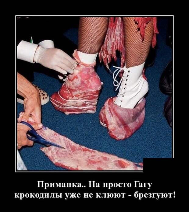 Демотиваторы