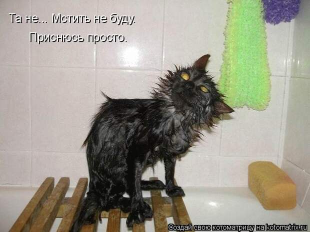 Котоматрица: Та не... Мстить не буду. Приснюсь просто.