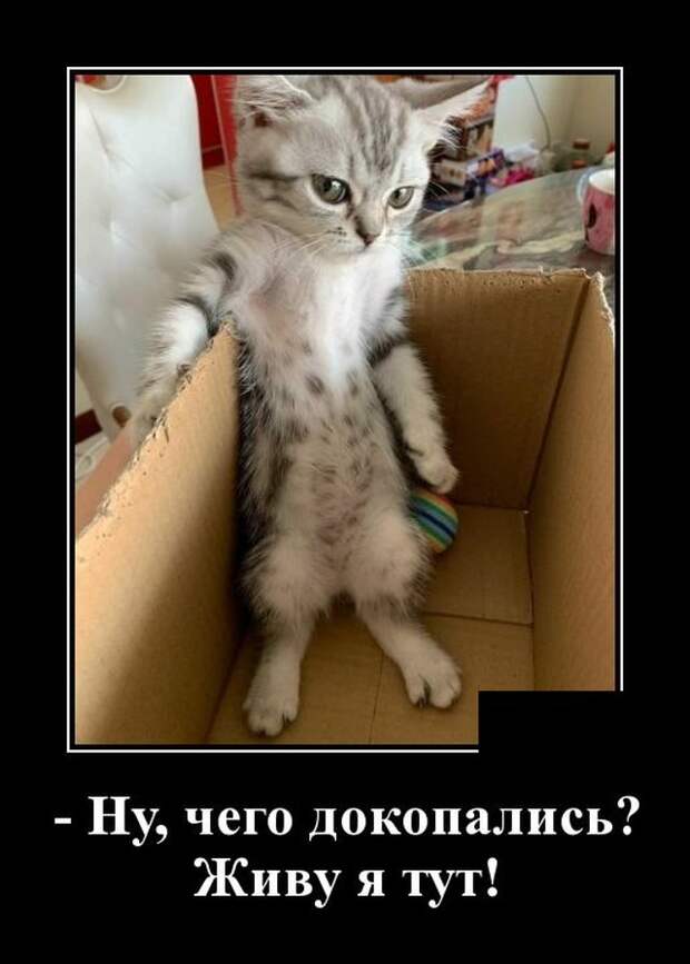 www.vsyako.net