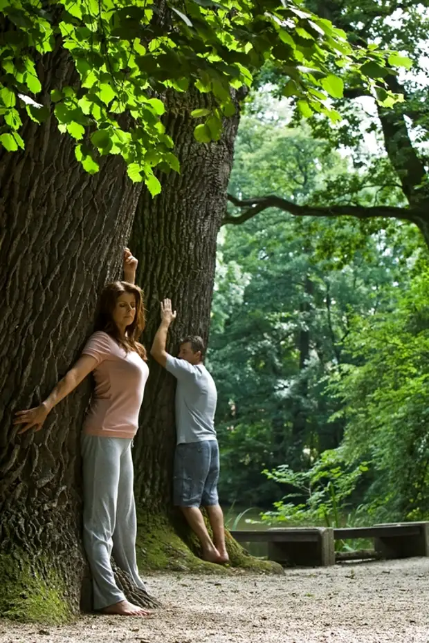 Выбирайте дерево и живите. Обнимает дерево. Человек рядом с деревом. Деревья обнимаются.