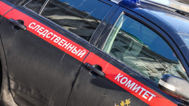 СК начал проверку после информации о погибших младенцах в Кузбассе