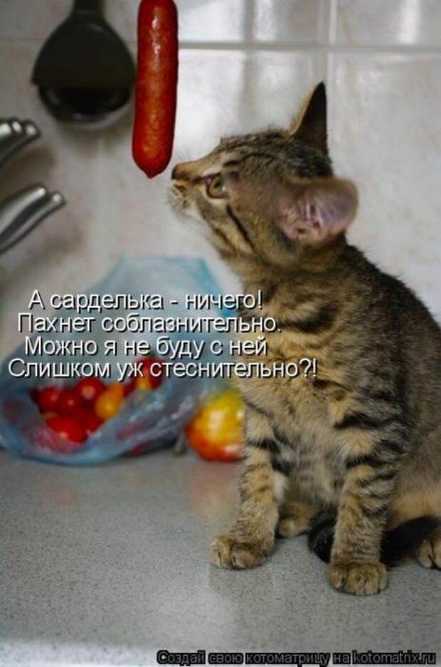 Мысли вслух :)