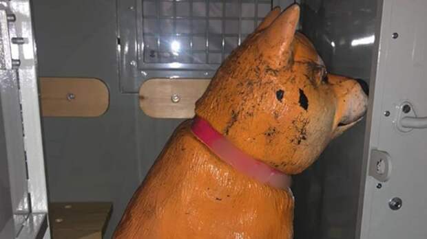 Банк виляет собакой: во Владивостоке садовая скульптура стала объектом хайпа