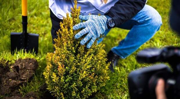 Жизнь на освобожденных территориях 10 января (обновляется)