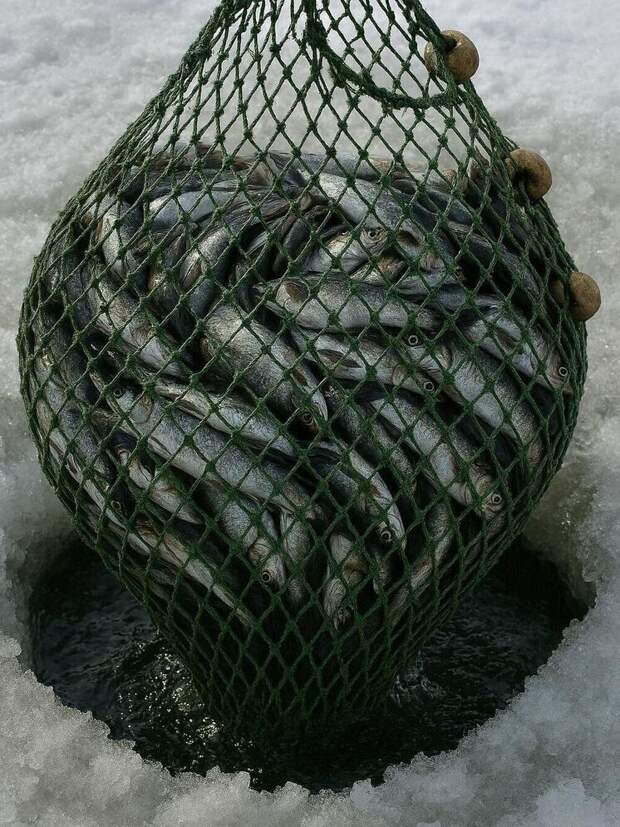 Монахиня Якутской епархии перевела притчу о неводе на юкагирский язык