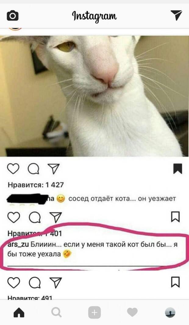 Смешные комментарии из социальных сетей комментарии, приколы, соцсети, юмор