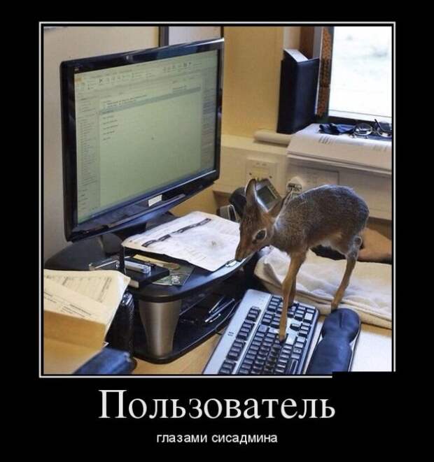 Демотиваторы на субботу (30 фото)