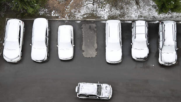 В Подмосковье выпал снег