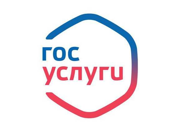 Госуслуги. Фото: пресс-служба УВД по САО