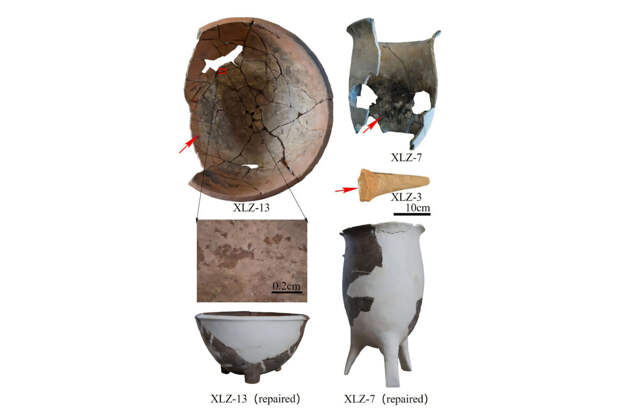 IJO: на севере Китая нашли древнейшие сосуды для перетирания костей в порошок