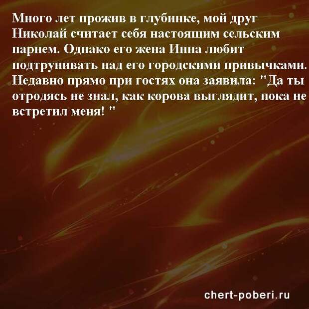 Самые смешные анекдоты ежедневная подборка chert-poberi-anekdoty-chert-poberi-anekdoty-28270203102020-19 картинка chert-poberi-anekdoty-28270203102020-19
