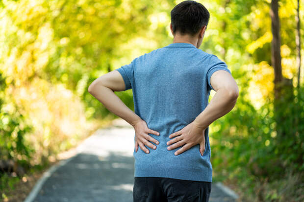 Обнаружена скрытая связь между работой почек и развитием болезни мозга