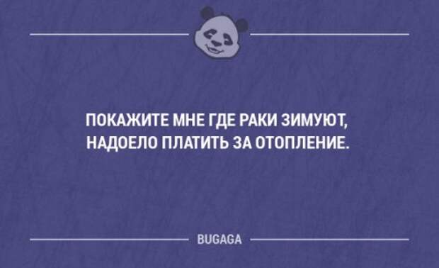Смешные высказывания и мысли в картинках с надписями. Часть 102 (20 шт)